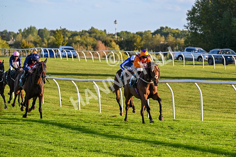 300926-Race 7-Prince Of Calypso-7048 - Race 7 5.25pm Amstel Gallop Handicap