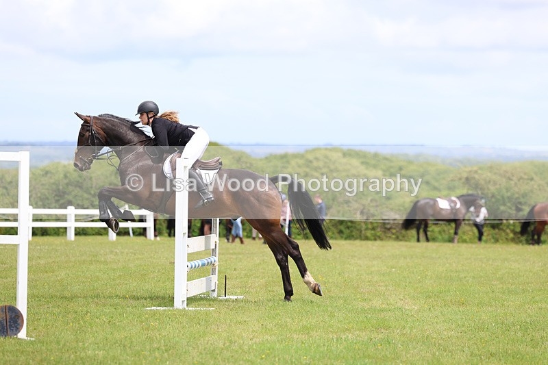 3E7A7244 - Class 13: Senior British Novice/90cm open