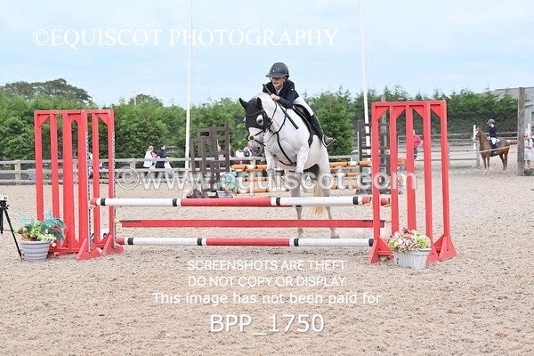 BPP_1750 - CLASS 12 Pony BritiNovice / 0.80m Open
