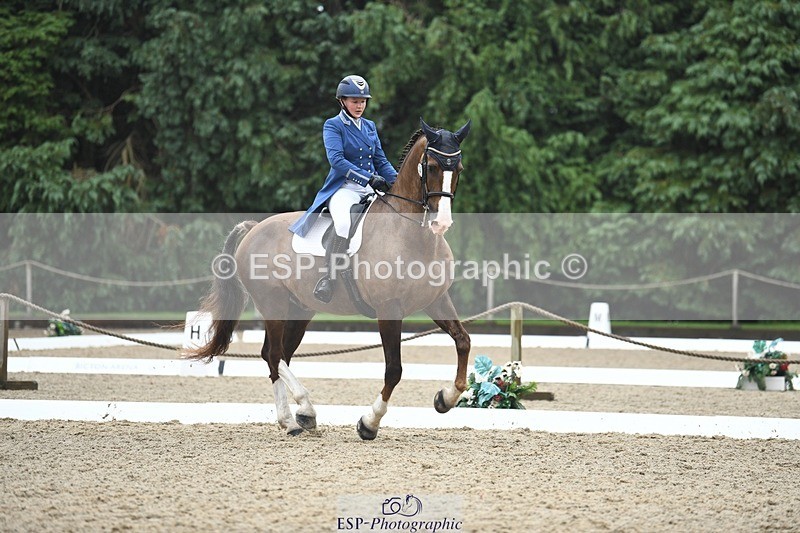 240720-143550-05707 - 142-Amberley_Pugsley-Hero_A
