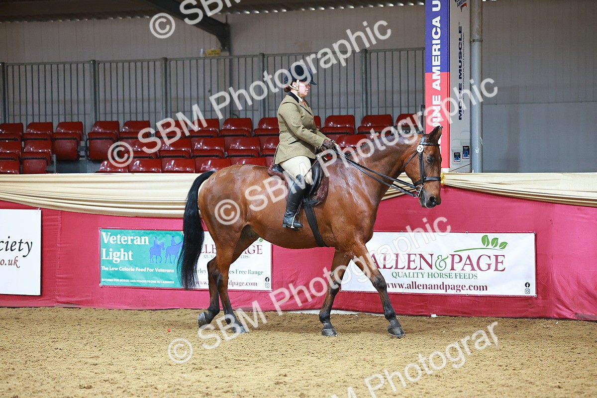 SBM_09354 - Class 102 - HOYS Veteran Qualifier - Ridden Veteran