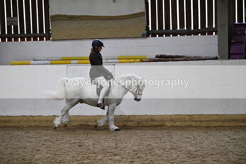 WJ5_6284 - Class 9 Ridden Veteran