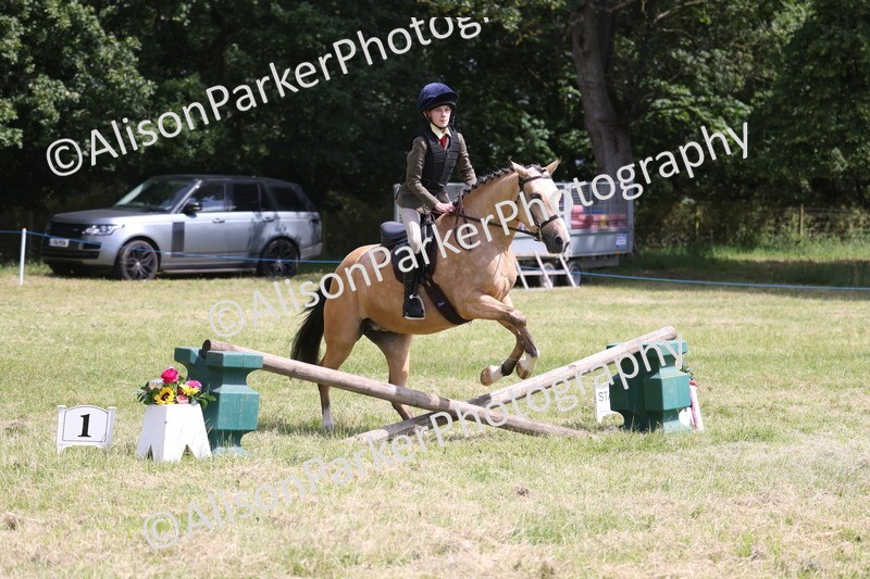 20260614-1769 - Class 21 - Novice Working Hunter Pony