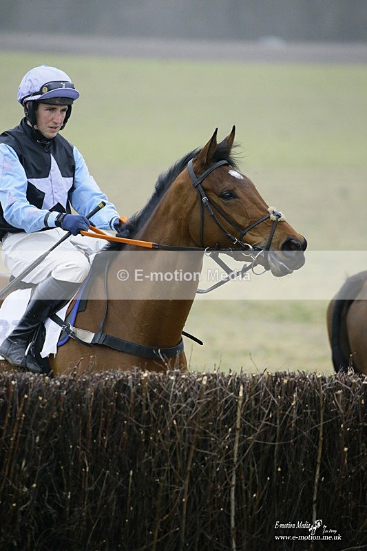PtP 200222 671 - Countryside Alliance PtP Badbury Rings 20/02/22