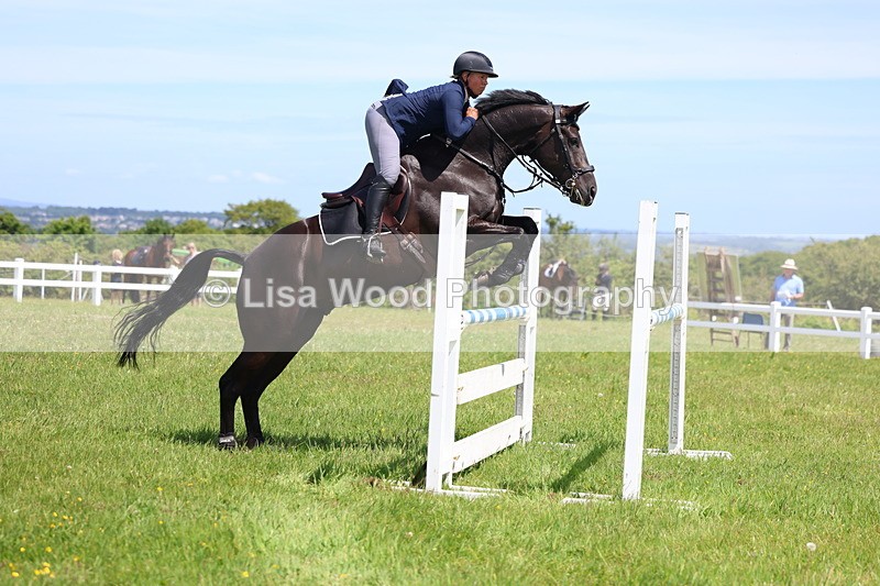 3E7A1202 - Class 12: Senior Foxhunter/1.20 open