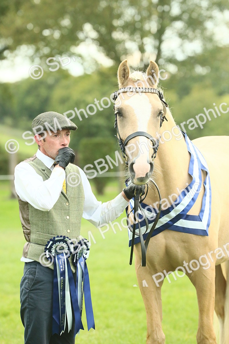 SBM_75258 - Super Supreme Championship