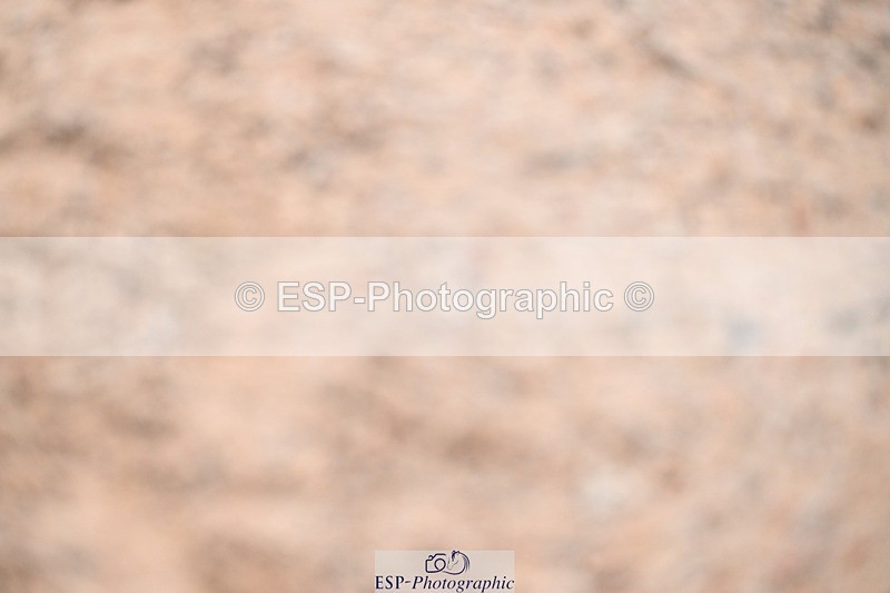 251206-150205-01412 - Cls 15 National 1.30m and 1.40m