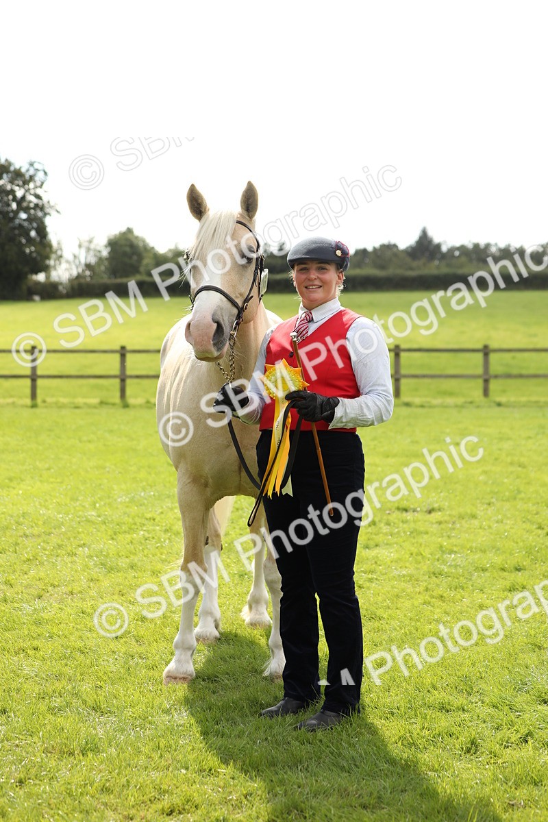 SBM_65542 - S47 - Mountain & Moorland In Hand Large Breeds