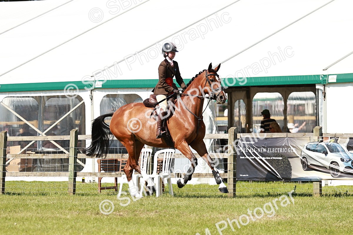 SBM_18522 - Class 112-113 - BSPS LIHS Working Sports Pony