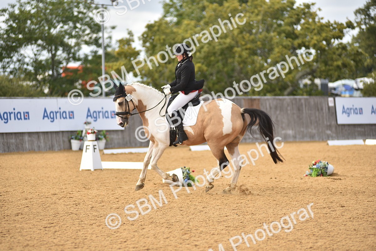 SBM_24356 - D4 - Small Tour Championship Intro 4