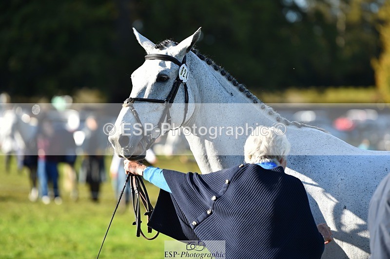 231022-100246-22204 - 624-CORRIEVIEW.OSCAR-Jane.Rogers-TrotUp+SJ