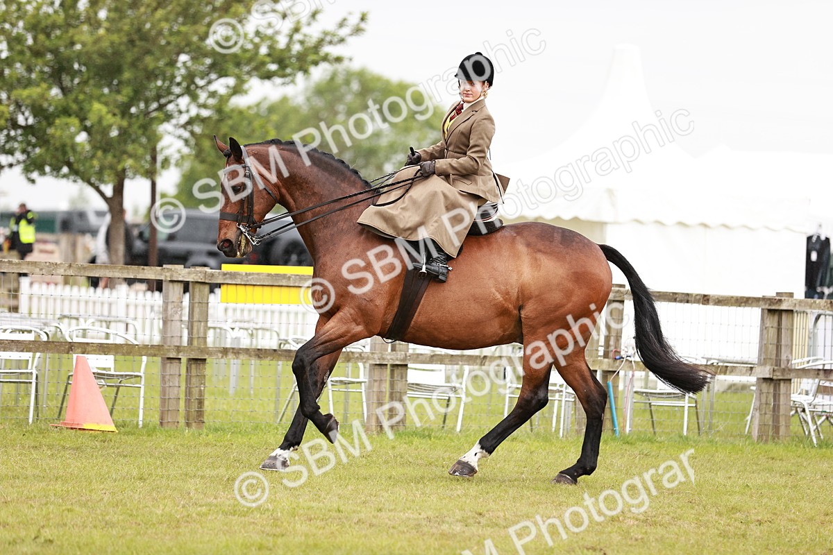 SBM_10983 - Class 81-84 - RIHS Ridden hunters Inc Ladies Hunter