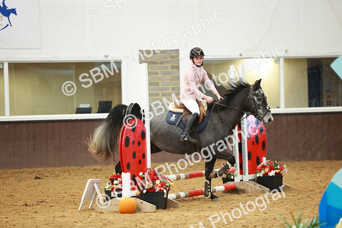 SBM_000740 - Class 2 - 50cm