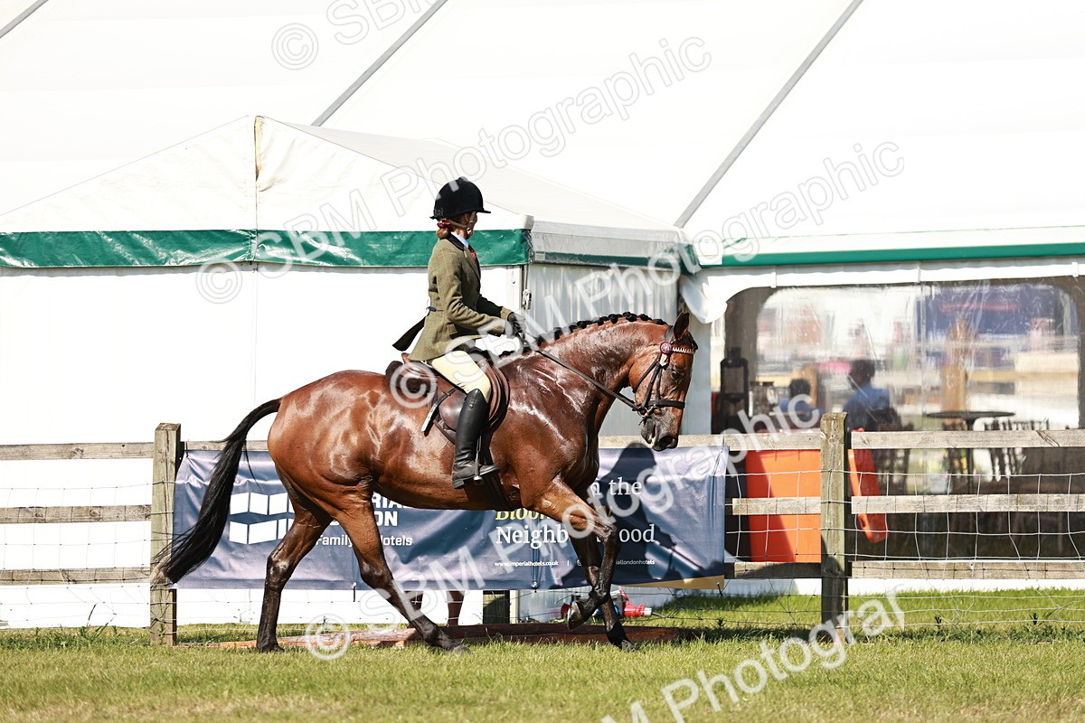 SBM_18882 - Class 114 - RIHS & SEIB Open Working Show Horse