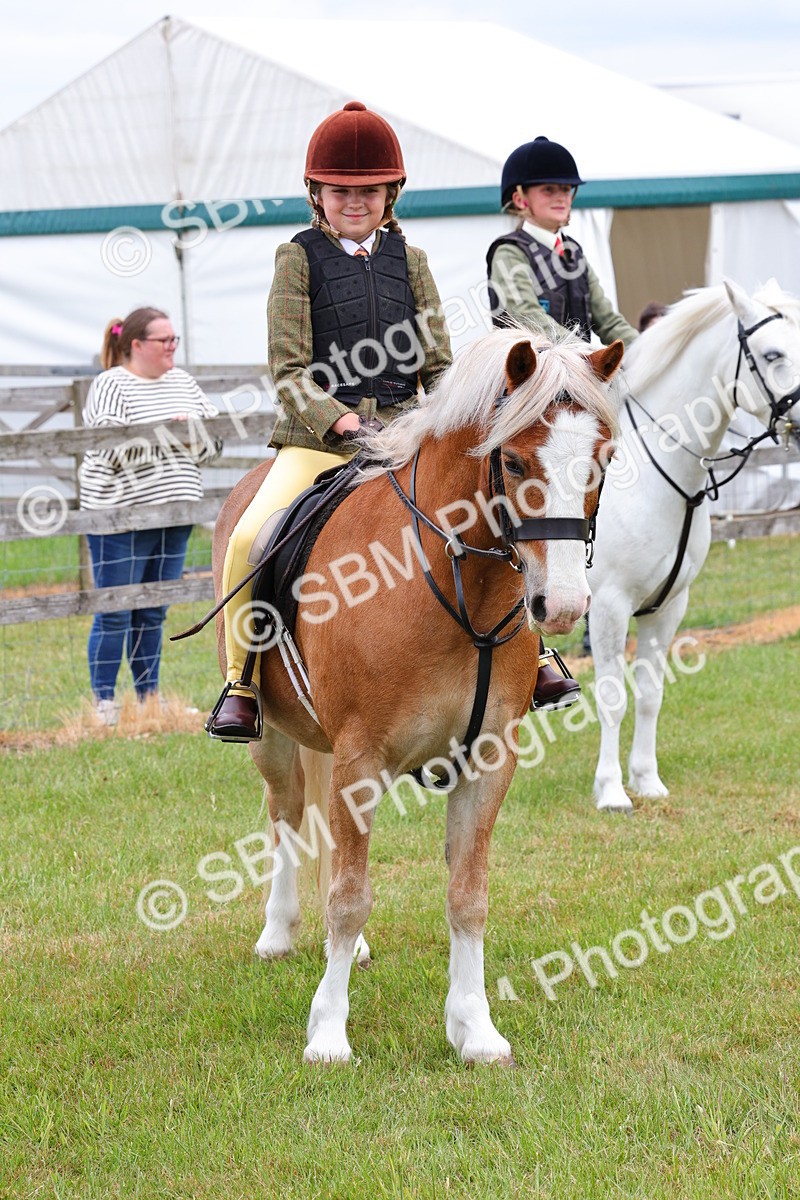 SBM_08811 - Class 42-43 - LIHS BSPS Heritage Working Sports Pony