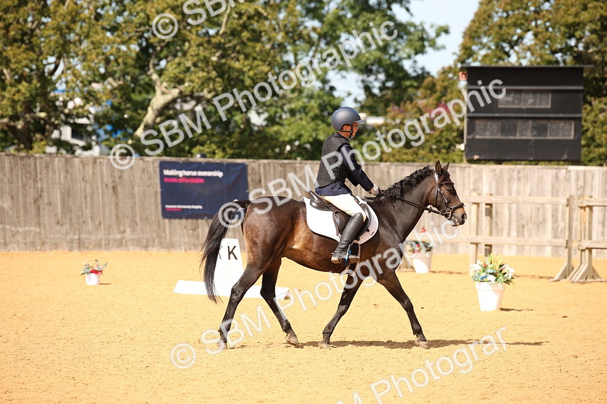 SBM_21818 - D5 - Small Tour Championship - Intro C