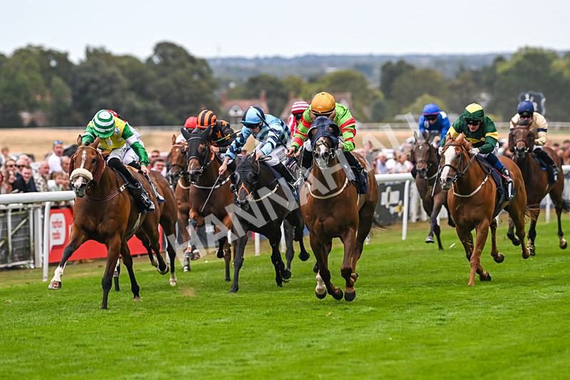 300825-Race 6-Hundred Caps-1787 - Race 6