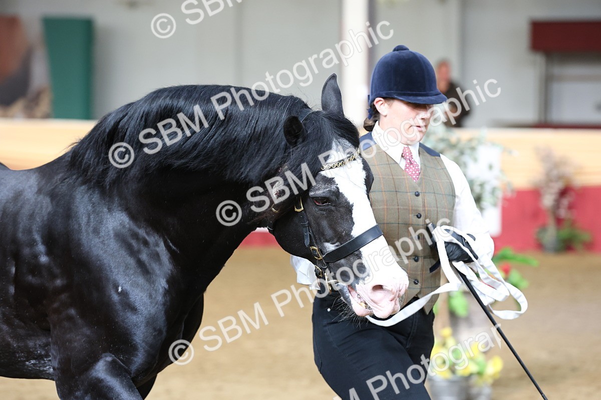 SBM_22472 - Class 902 - Supreme Final - IH Diamond