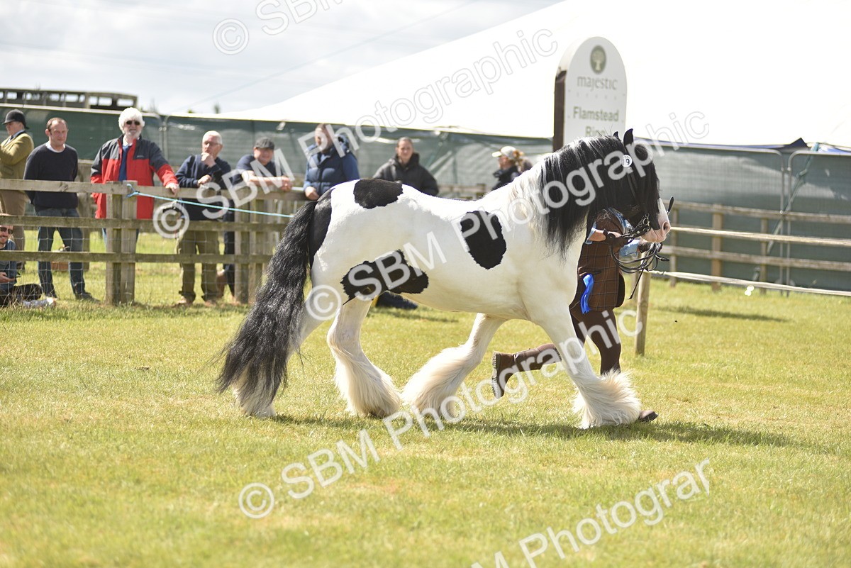 SBM_16121 - Class 117-122 - SSADL RIHS Qualifier