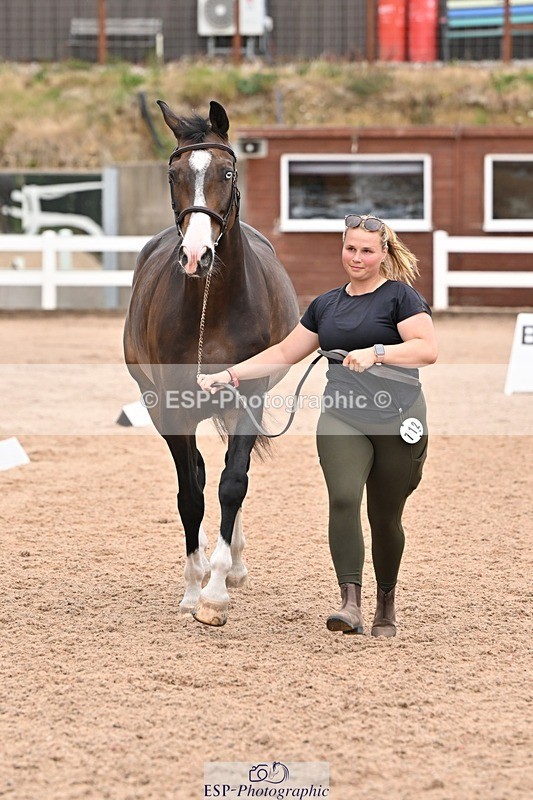 250716-144727-01400 - Trot Up 2.30 to 3.30