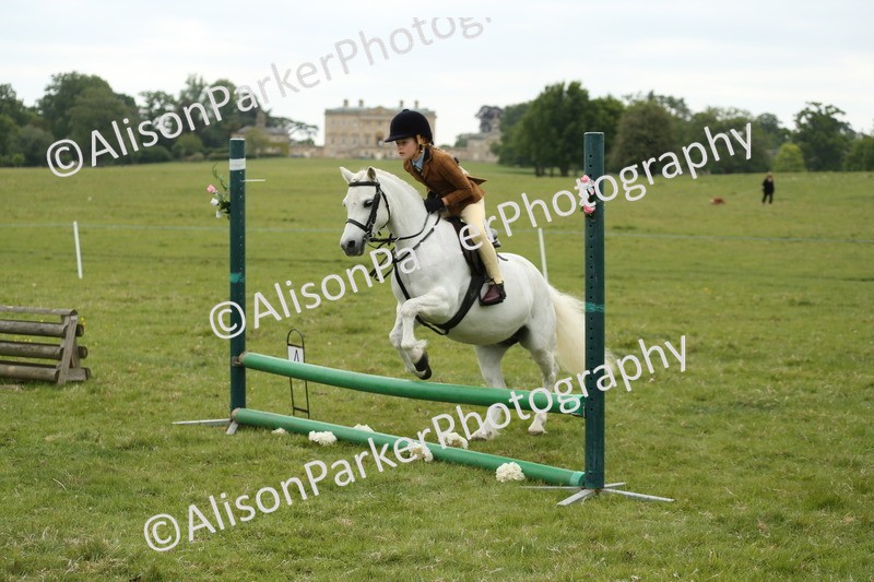 20250517-1092 - Class 21 - Novice Working Hunter