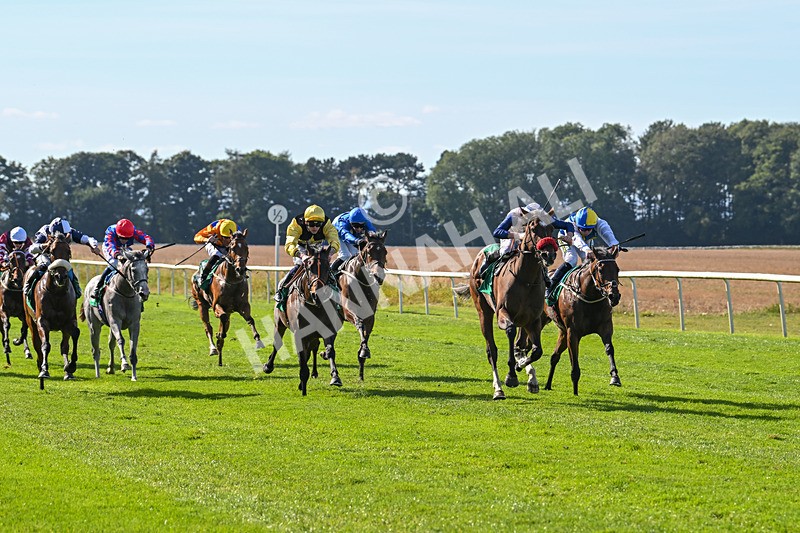 160924-Race 3-Moostar-2731 - Race 3