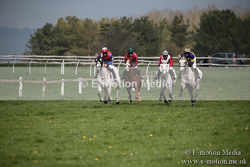 PtP 210418 249 - South & West Wilts Point-to-Point Larkhill 21/04/18