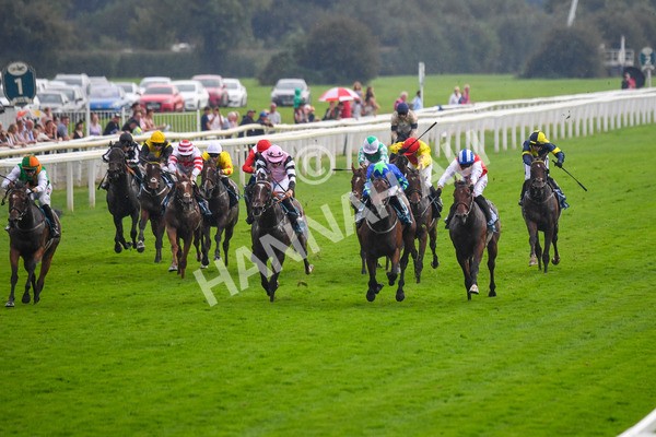 100923-Race 6-Anjo Bonita-1045 - Race 6 4.25pm Hanson Springs 60th Anniversary Handicap at York