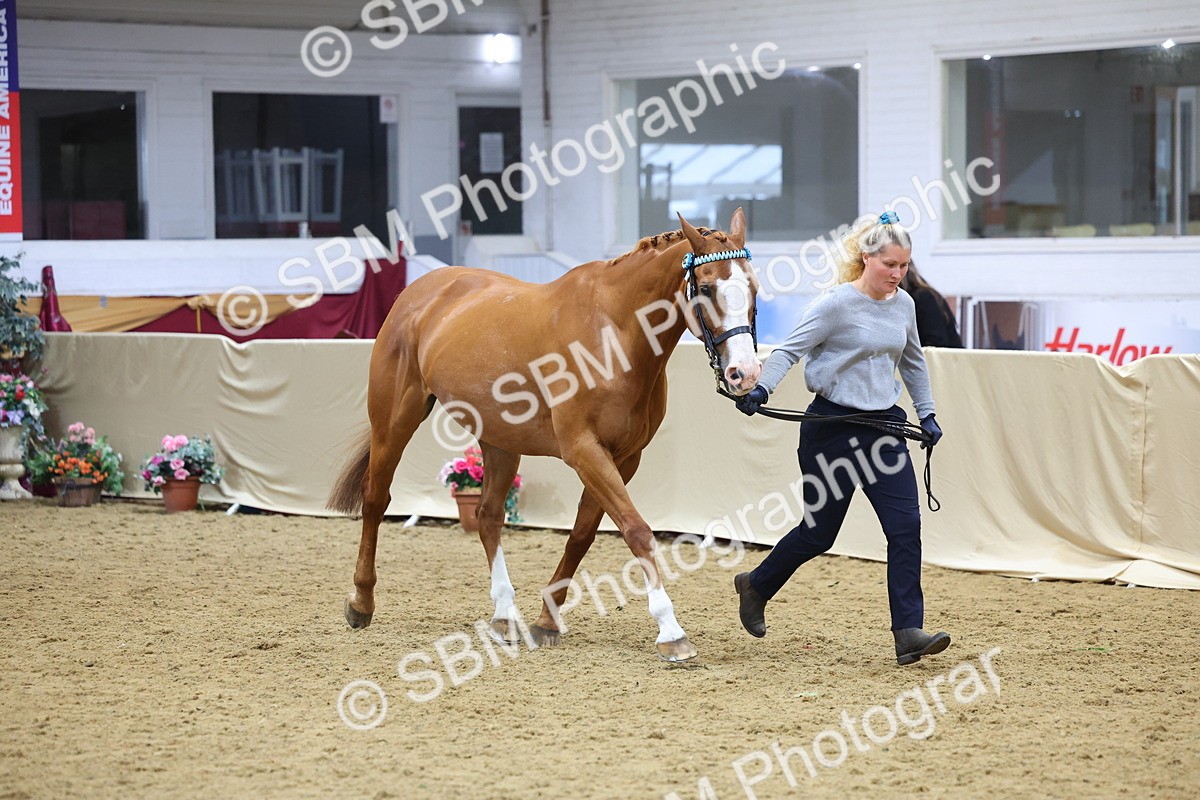 SBM_21065 - Class 902 - Supreme Final IH Veteran