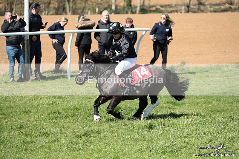 Shet 060426 328 - Shetland Pony Racing Paxford Races Easter Mon 06/04/26