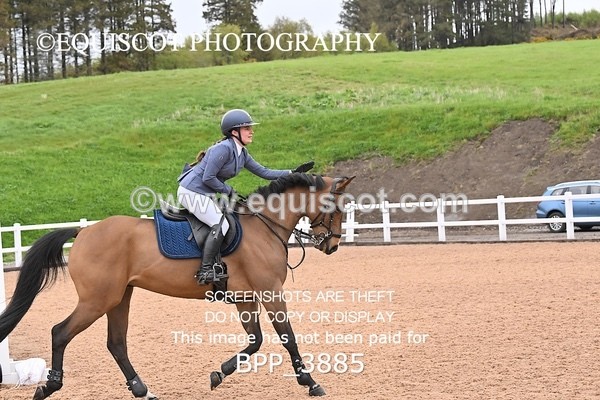 BPP_3885 - CLASS 16 SUN Senior Newcomers/1.10m Open