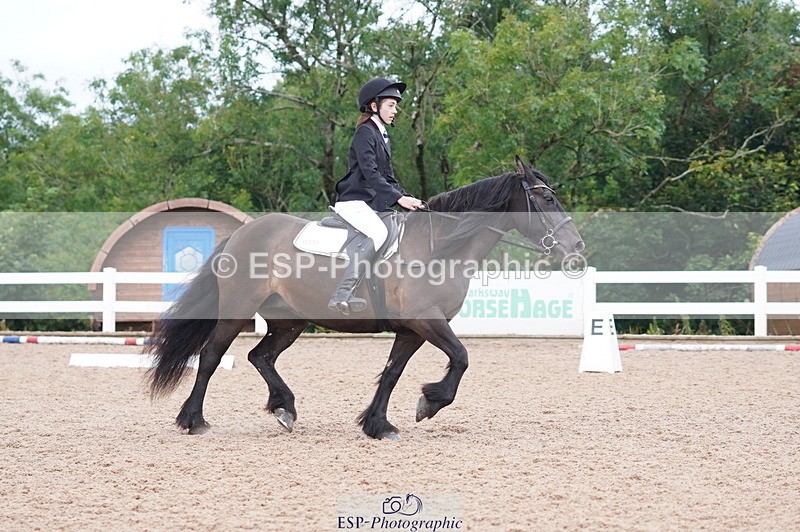 240809A-095432-00353 - Dressage Competition