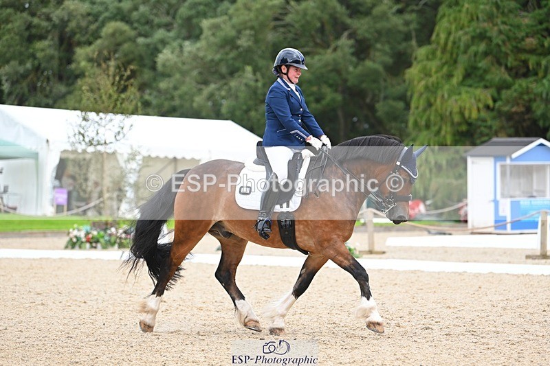 230813-142114-07736 - Cls 13 Medium Bronze 13.15 to End