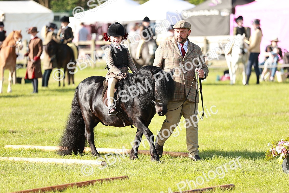 SBM_11165 - Class 106-107 - BSPS LIHS Working Sports Pony