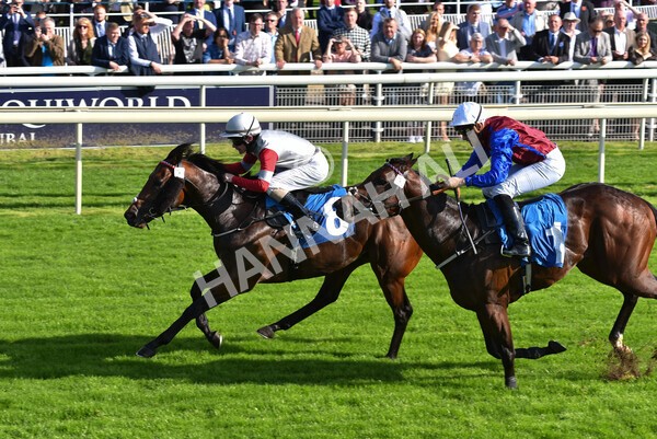 yr08102021r1-26 - Race 1 2.05pm Parsonage Hotel and Cloisters Spa Nursery Handicap
