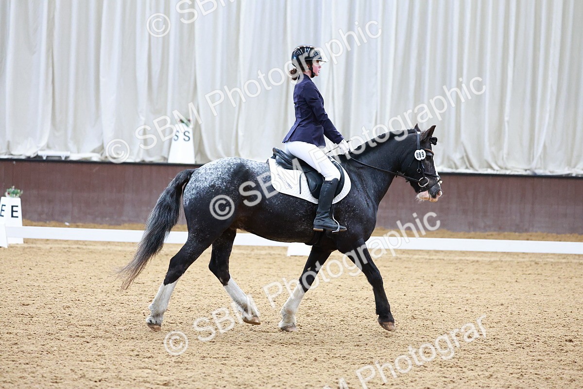 SBM_000207 - Class 3 -  CT Prelim 2/60cm