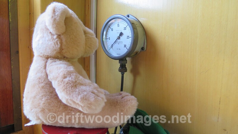 WLLR Teddy Bear Weekend September 2015 7 - The Welshpool & Llanfair Light Railway