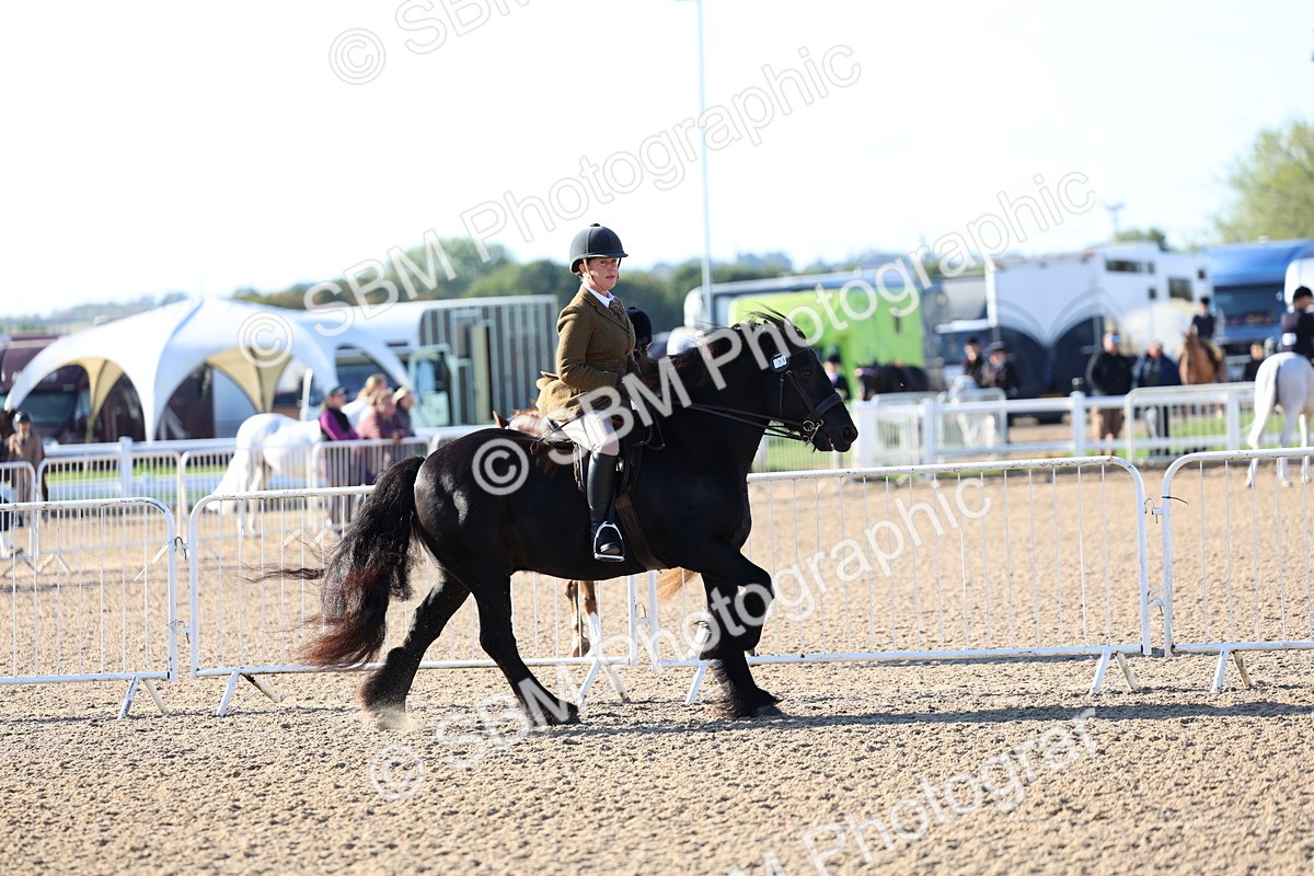 SBM_08755 - Class 302 - Ridden M&M - Large Breeds