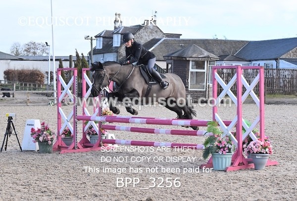 BPP_3256 - CLASS 2  Club/ Unaffiliated 80cms Open