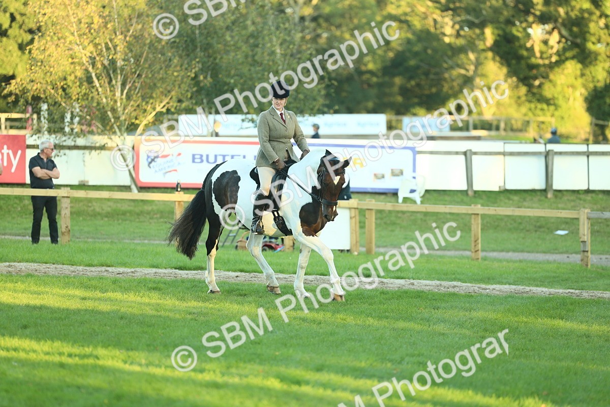 SBM_56493 - S14 - Riding Club Horse