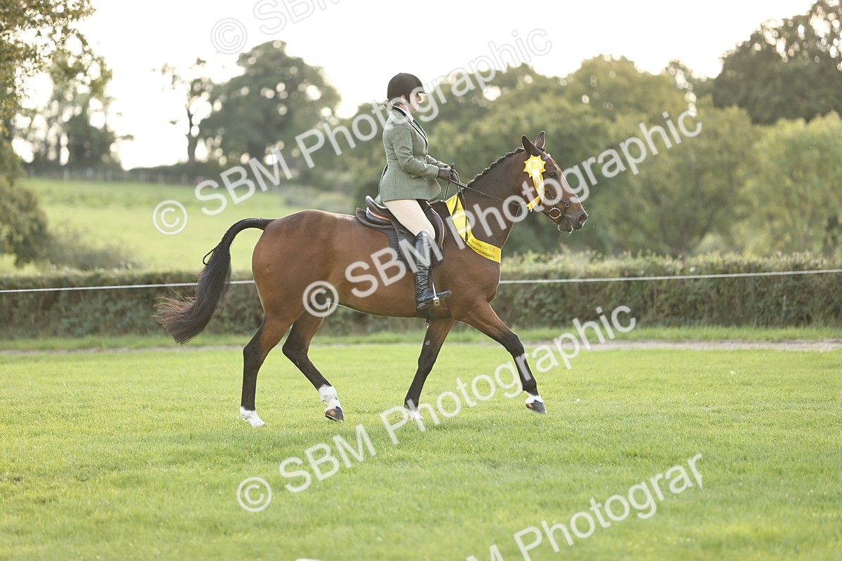 SBM_26501 - S6 - Novice & Newcomers Ridden Horse