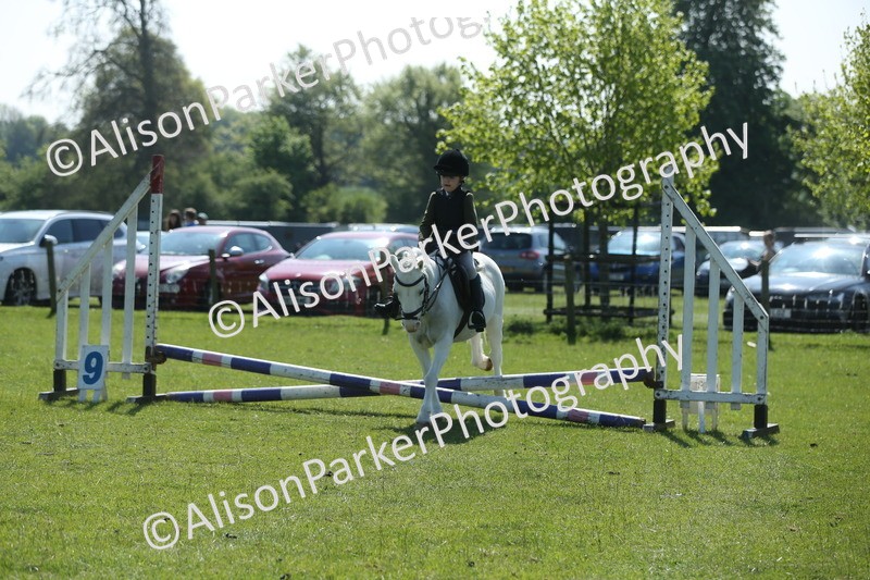 20250427-1946 - Class 2 - Mini Jumping 30cm