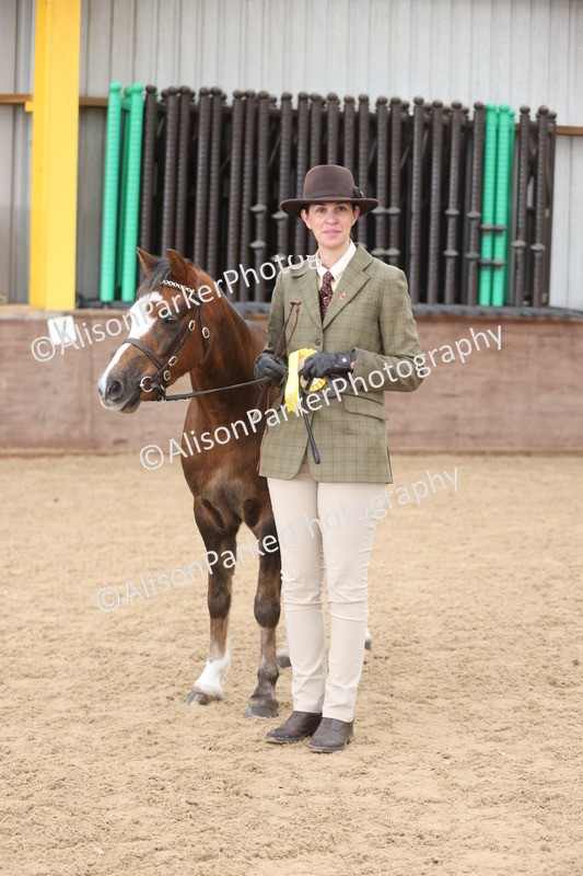 20251109-0687 - Class 22 - Geldings 4 Years and over