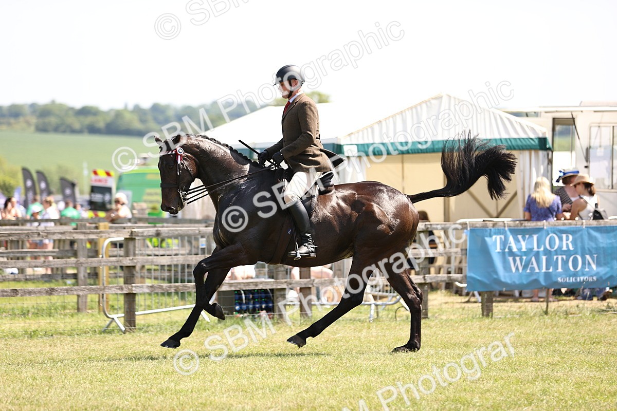SBM_14927 - Class 78 - LIHS BSHA Open Racehorse & Show Horse