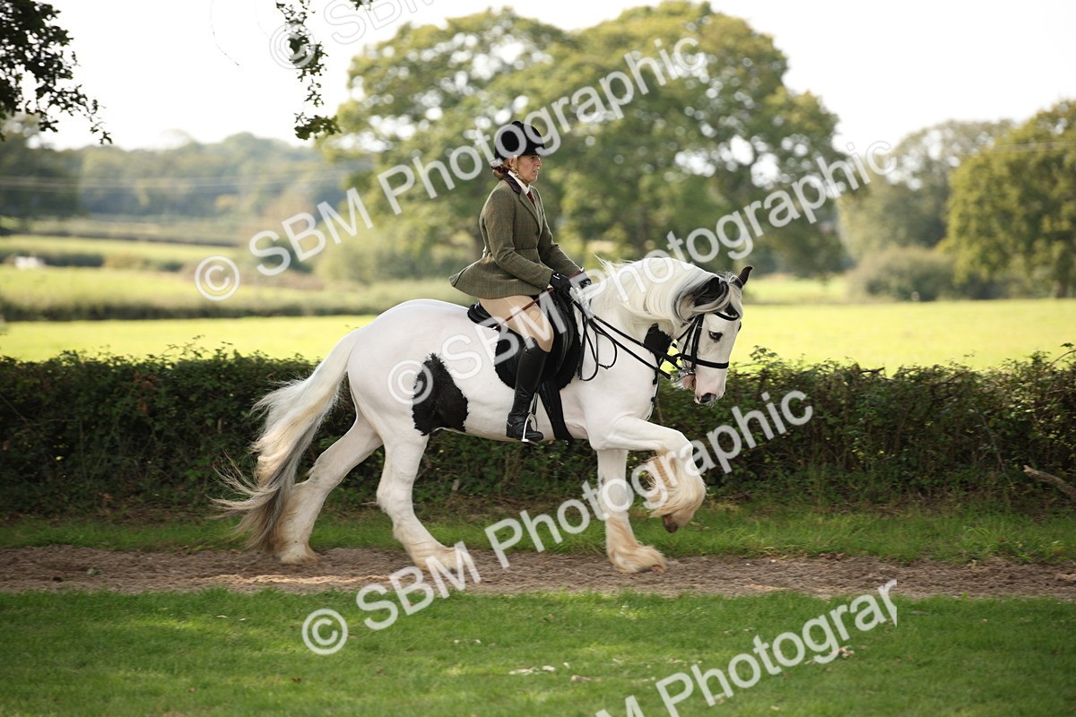 SBM_70083 - S65 - Piebald & Skewbald Horse Ridden