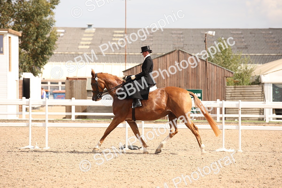 SBM_06741 - Class 24 Concours d'elegance