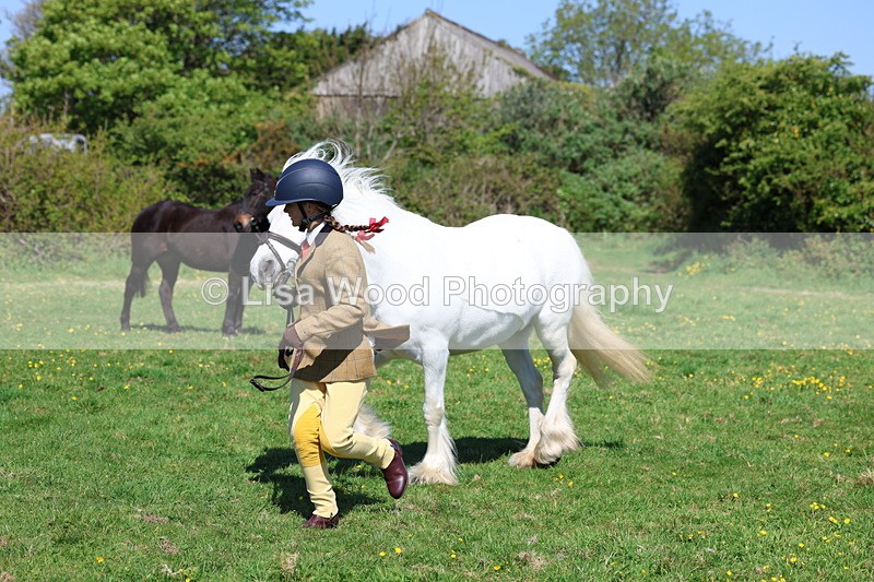3E7A9899 - Class 17: Young Handler
