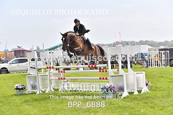 BPP_6888 - CLASS 3 RHS Fox Champ Qual (1.20m)