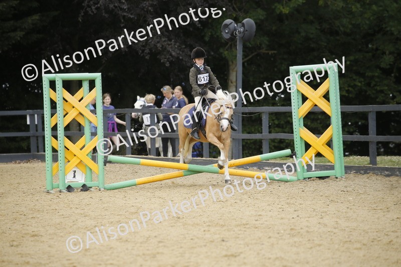 20250622-3797 - 50cm