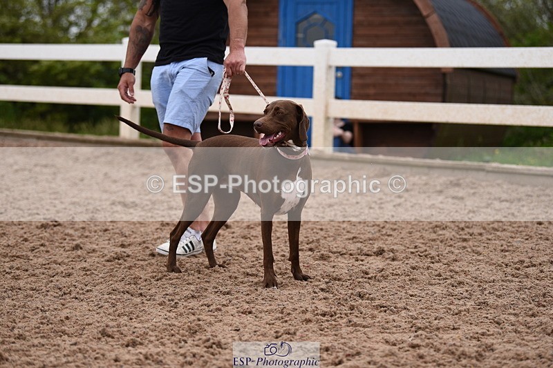 240518A-122236-01133 - Cls 4 Best Crossbred